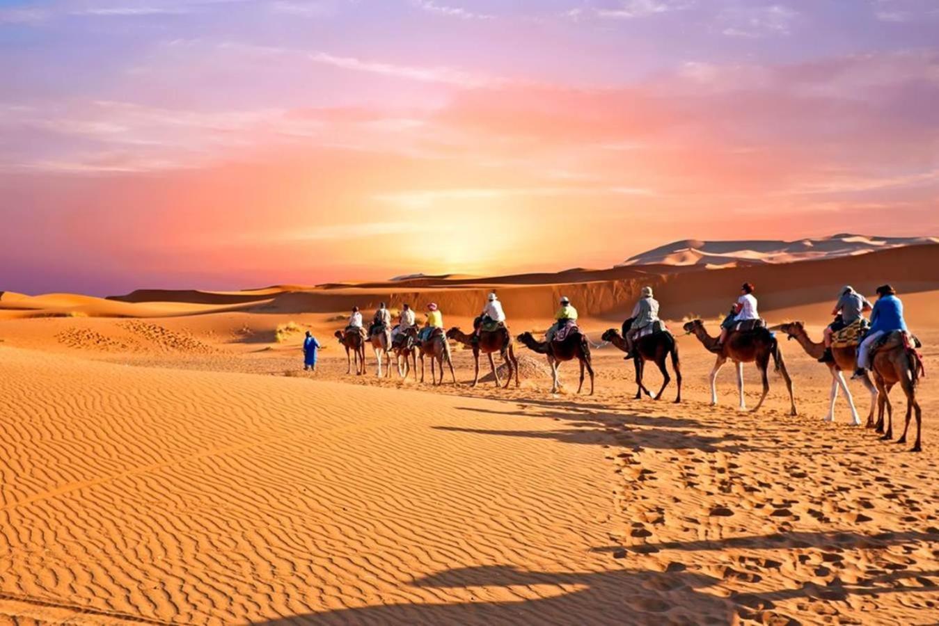 Desert Luxury Camp マハミド エクステリア 写真